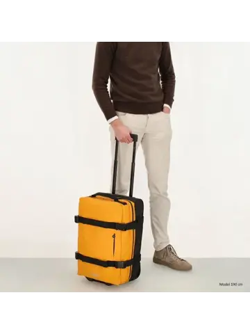 Beagles - Travel - Handbagage reistas