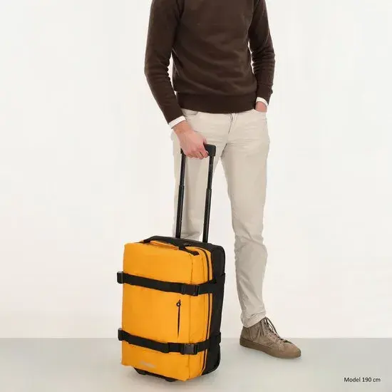 Beagles - Travel - Handbagage reistas