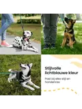 Reflecterende Hondenriem 3m