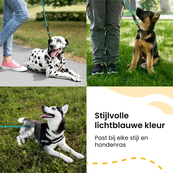 Reflecterende Hondenriem 3m