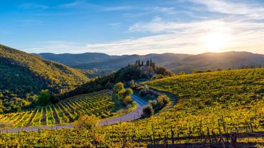 italië_toscane_chianti_weg_wijnveld_heuvel_landschap_zonsondergang_getty