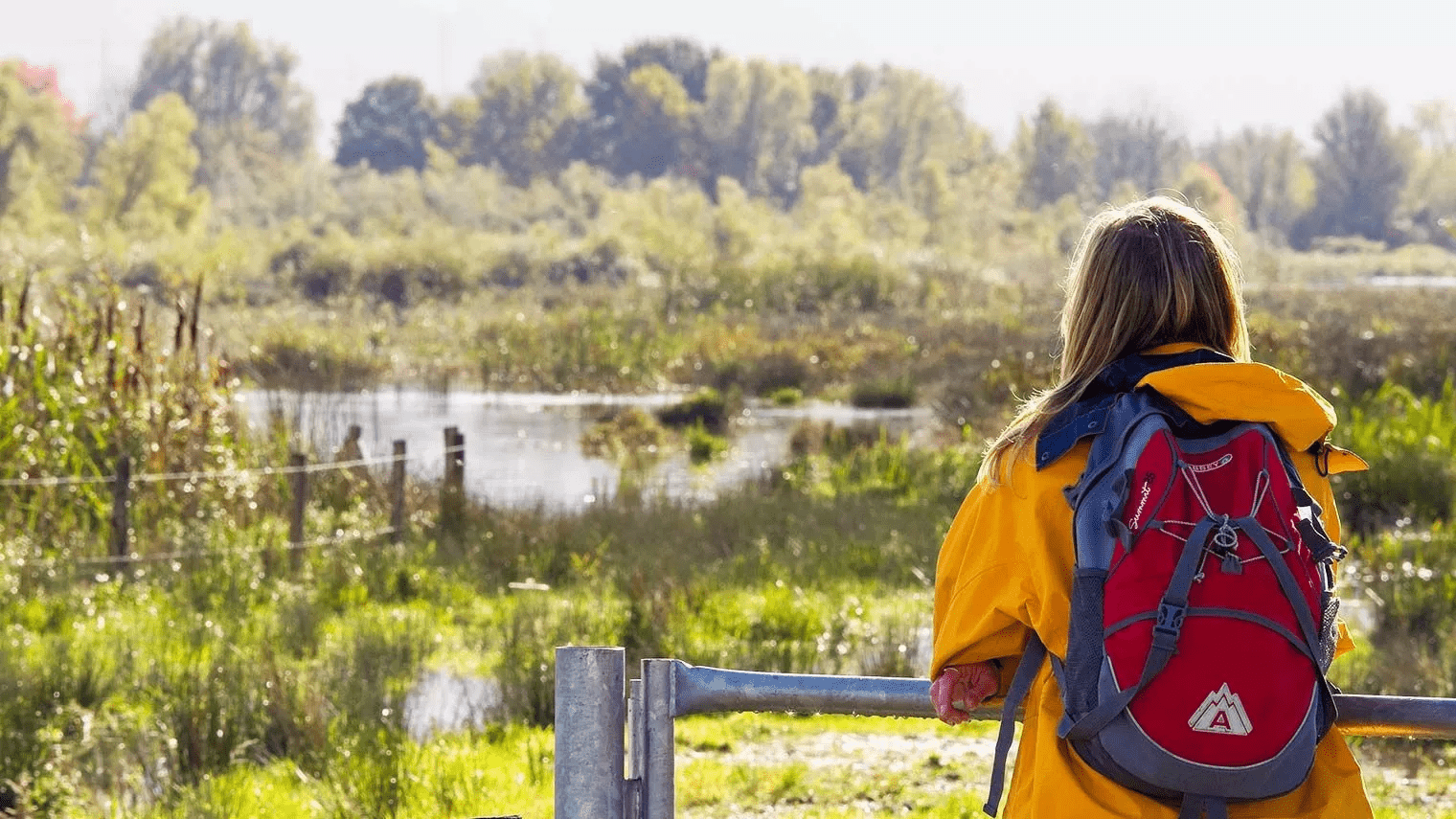 3-daags fietsarrangement Biesbosch - Leonardo Hotel Papendrecht