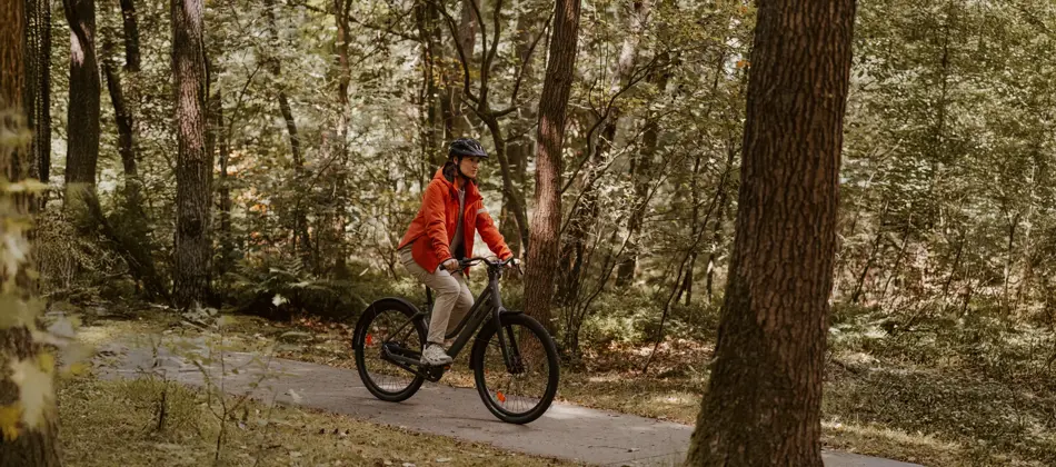 Fietser in het bos