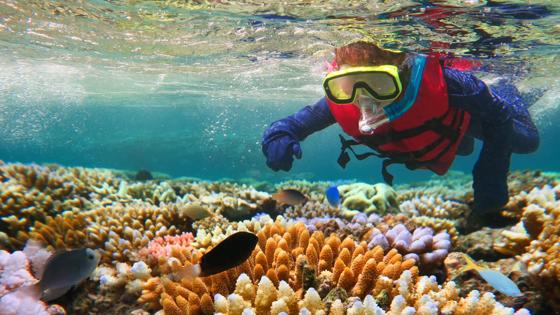 australie_queenstown_great-barrier-reef_persoon_shutterstock_419025829