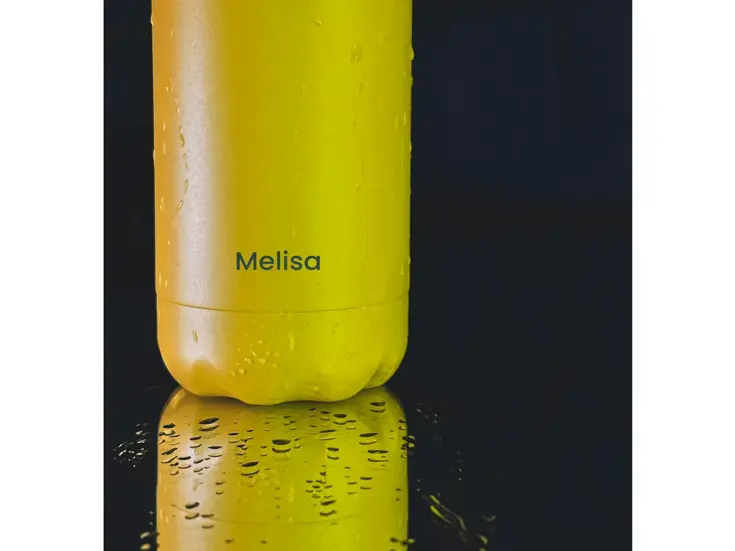 Drinkfles RVS 500 ml