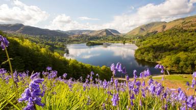 engeland_lake-district_loughrigg-terrace_meer_gebergte_bloemen_getty