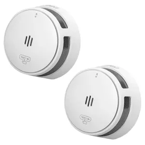 S10 Rookmelder 2-pack