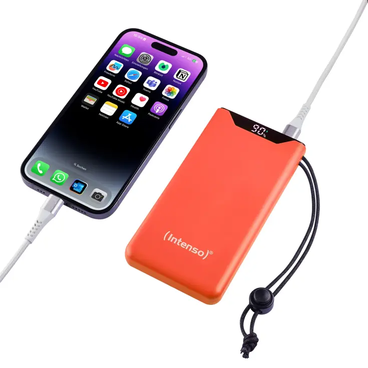 F10000 Powerbank 10.000 mAh