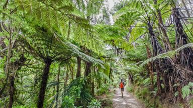 nieuw-zeeland_south-island_abel-tasman-national-park_abel-head_groen_vrouw_getty