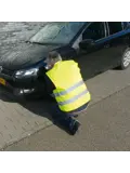 Veiligheidsvest geel met reflecterende strepen