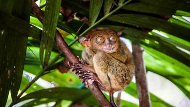 GettyImages-1203883498