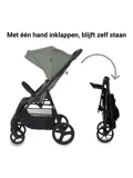Grande Go - Buggy