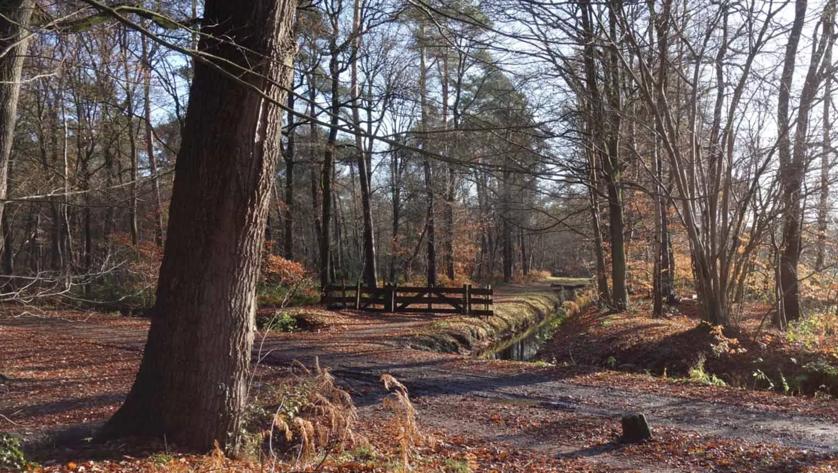 Wandelroutecontroleur: Waterpark Lankheet Kinderwandelroute