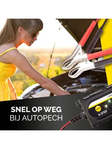 Acculader 6/12V 6 fasen IP65