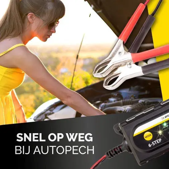 Acculader 6/12V 6 fasen IP65