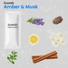 Autoparfum Inclusief 6 Geuren - Luchtverfrisser