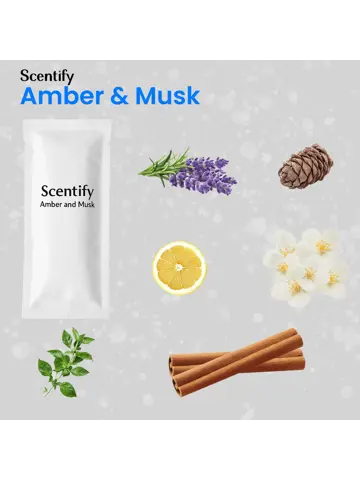 Autoparfum Inclusief 6 Geuren - Luchtverfrisser