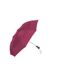Kleine stormparaplu