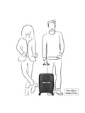 Cross-One Cabin Trolley 55/35  | 35 L