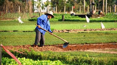 vietnam_hoi an_platteland_local_f