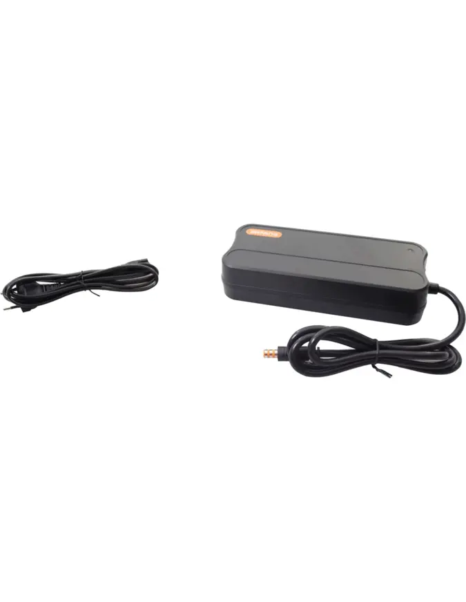 Bafang Snellader - Fietsacculader - 43V - 3A