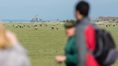 wandelrondreis_frankrijk_bretagne_s-cape_mont-saint-michel_wandelaars_close-up_crt_bretagne