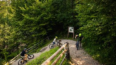 camping_slovenie_julische_alpen_camping_radovljica_buffel_outdoor_activiteit_mountainbiken2_copyright_floris_heuer