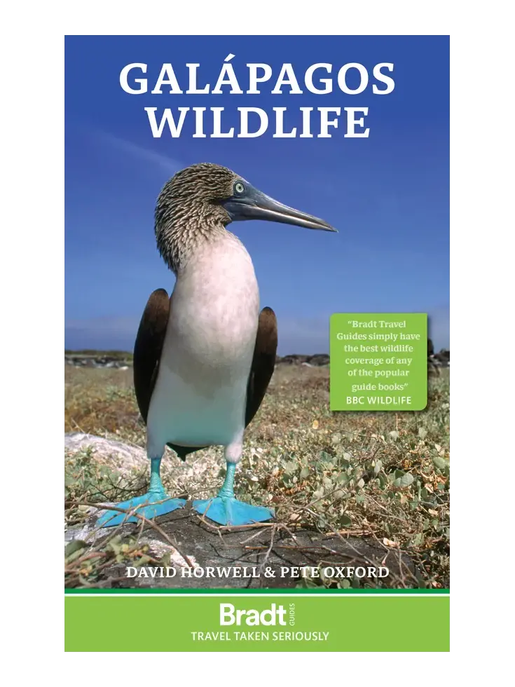Reisgids Galapagos Wildlife 4