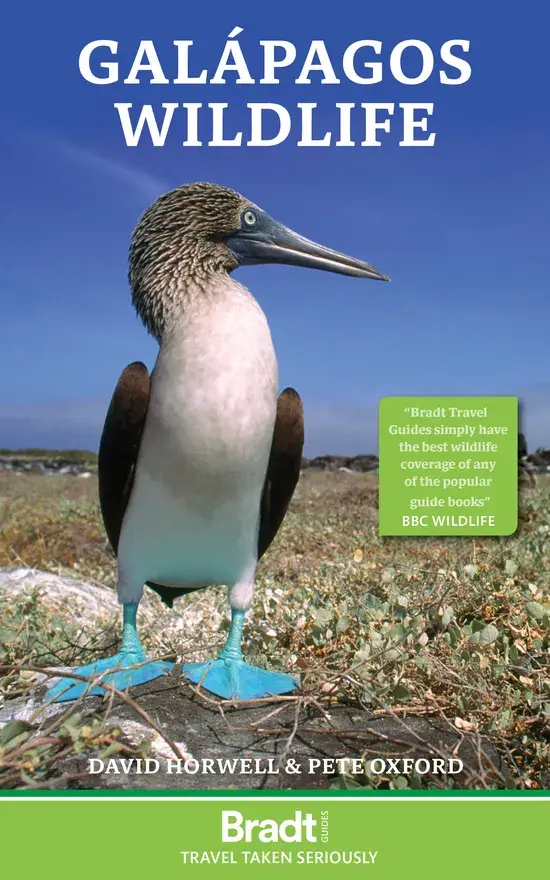 Reisgids Galapagos Wildlife 4