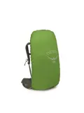 Osprey Kestrel 48 S/M bonsai green