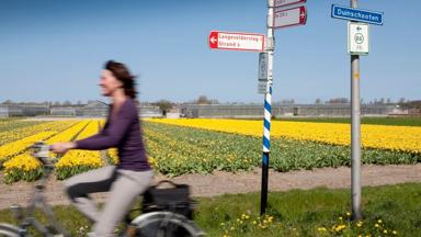 nederland_zuid-holland_noordwijk_bollenstreek_fiets_vrouw_wegwijzer_bollenveld_knooppunt