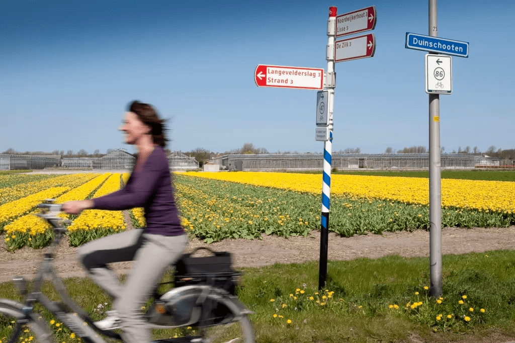 Rondreis 8-daagse fietsrondreis Rondje Groene Hart van Holland in Diversen (Nederland, Nederland)