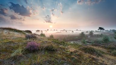 Aangekocht met standaardlicentie, beeld mag online gebruikt worden en in print tot een oplage van maximaal 500.000