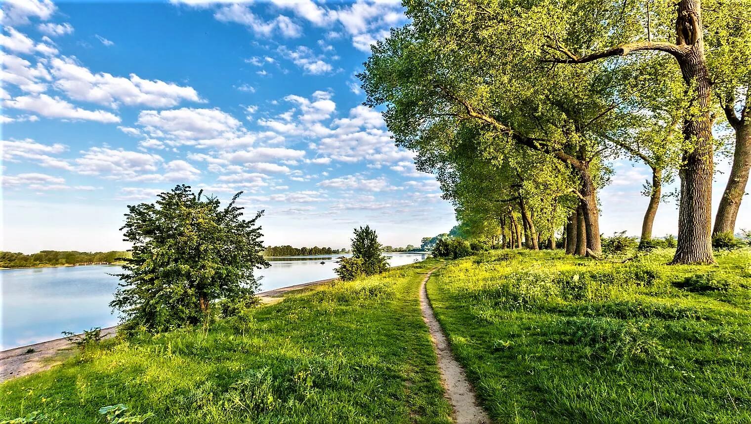https://merk.anwb.nl/transform/fbb4dadf-10d4-46ec-9862-0a200c4e749f/3-Content-Afb-1520-nederland_gelderland_ooijpolder_bisonbaai_wandelpad_fietspad_waal_rivier_shutterstock_645886348-jpg