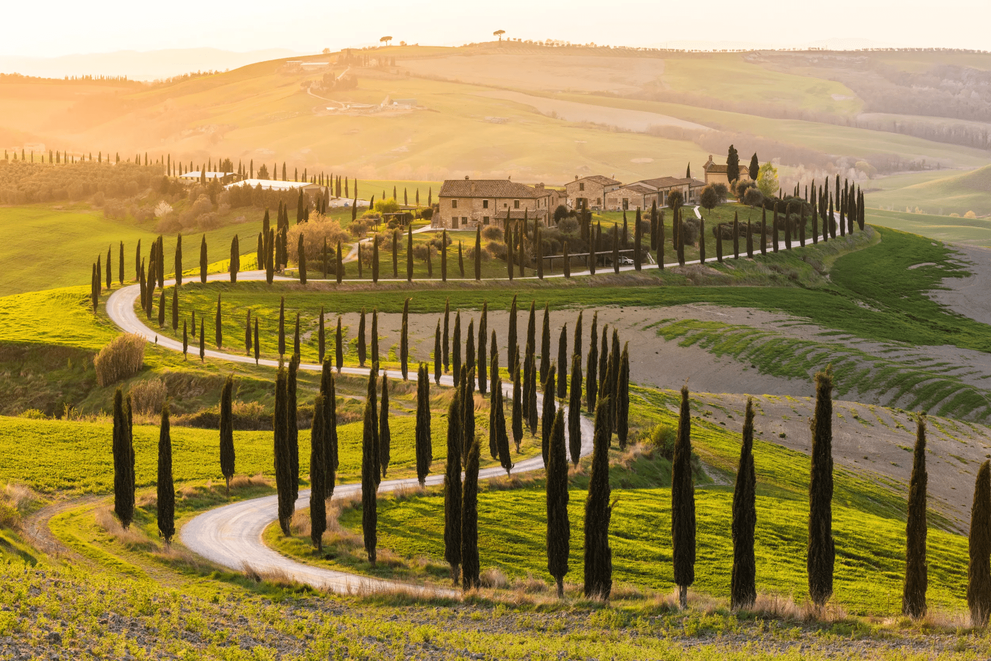 10-daagse rondreis Toscane - vanuit Fattoria degli Usignoli afbeelding