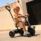 Drifter Driewieler - Met duwstang - 2-6 jaar