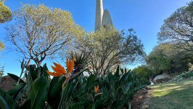Fox_zuid-afrika_west-kaap_paarl_afrikaans-taalmonument_janneke-kaim-naturescanner