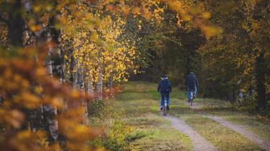 zweden_smaland_stel_fietsen_bos_alexander-hall