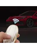 TPU Sleutelhoesje voor Tesla Model 3-Y-S goud