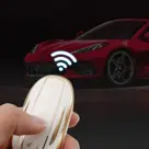 Dutch Shield Sleutelhoesje  Tesla  3/Y/S goud B