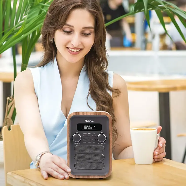 DAB+/FM Radio Bluetooth Alarm Afstandbediening