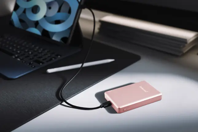 MW10000 Powerbank 10.000 mAh