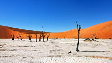 namibie_sossusvlei_deadvlei_dode-bomen_b