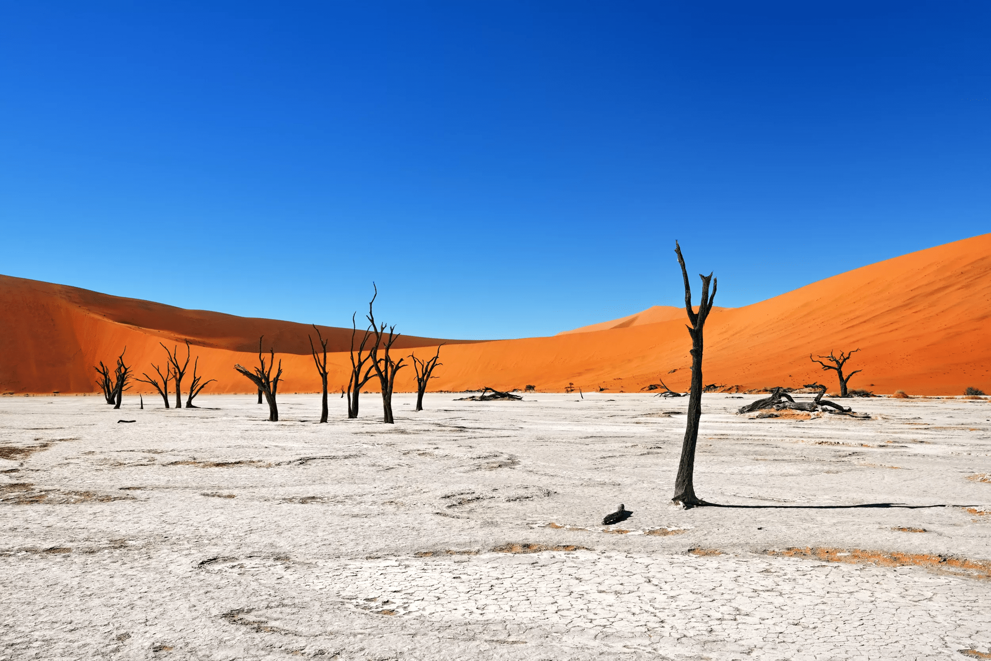 22-daagse privérondreis Namibië & Botswana met huurauto
