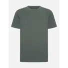 Wells - T-shirt heren - Human Nature