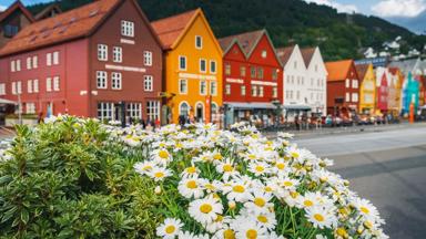 noorwegen_vestland_bergen_bryggen_margrietjes_bloemen_terras_shutterstock_1590068983