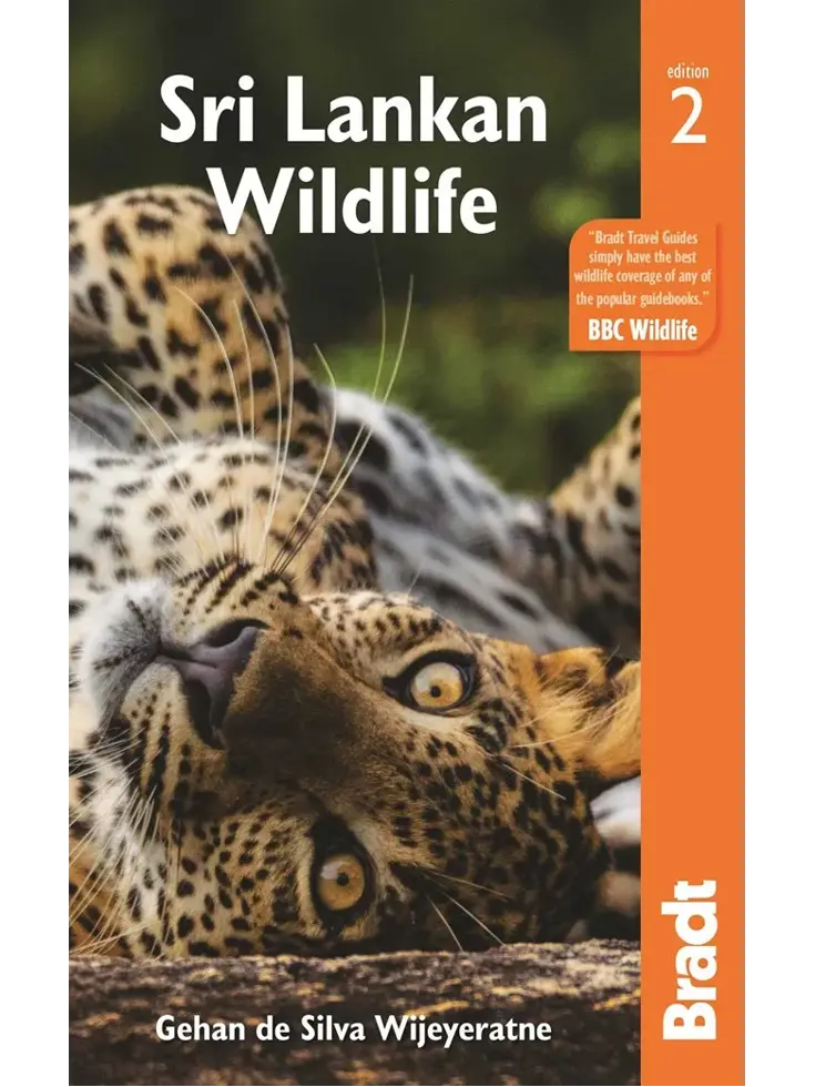 Reisgids Sri Lankan Wildlife 2