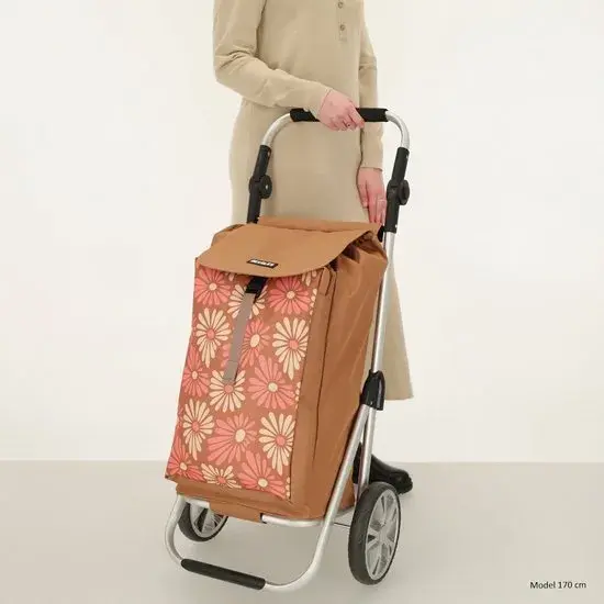 Alberic - Boodschappenkar - Koelvak - 42L