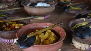 Fox_Sri-Lanka_eten_curry_rijst_d_Susanne 01