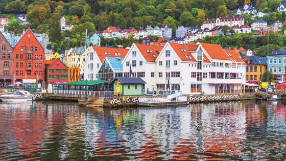 Noorwegen_Noorse_Fjorden_Cruise_Omgeving_Bergen